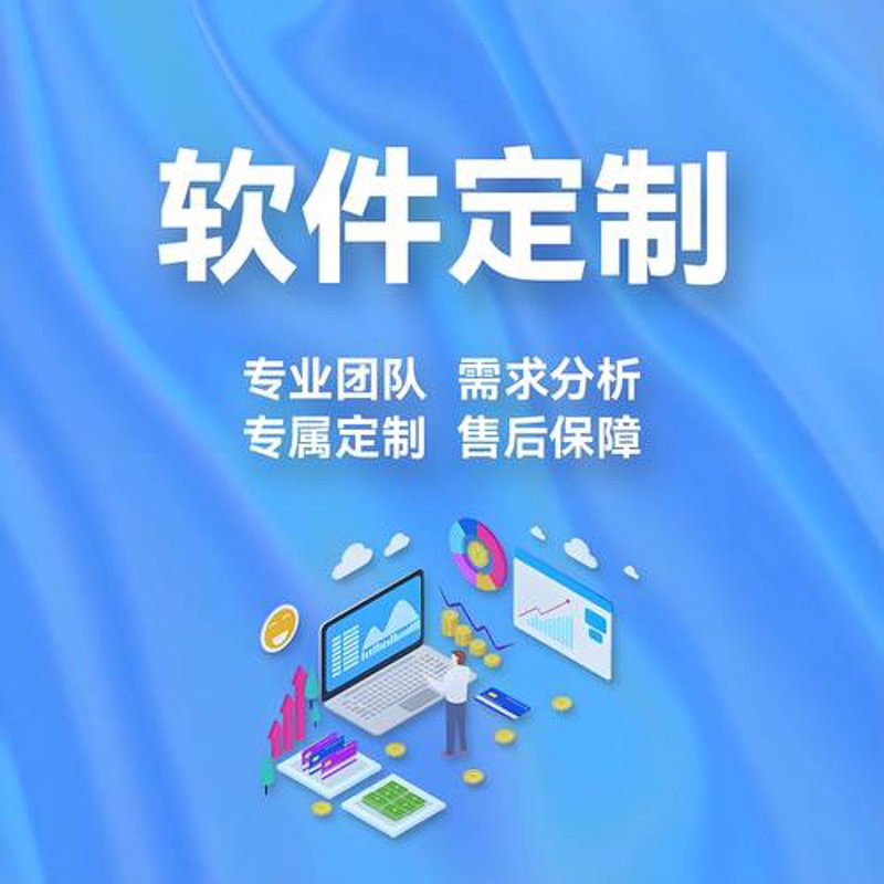 上海软件定制开发：助力企业精准导航未来