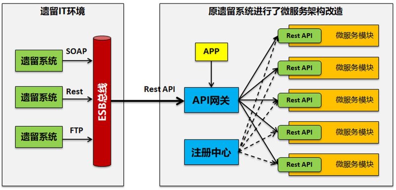 APP开发